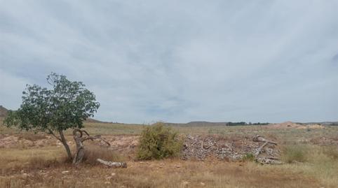 Foto 3 de Terreno en venta en Calle Lucainena, 9, Aguamarga, Almería