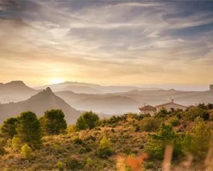 Vista exterior de Finca rústica en venda en Elche de la Sierra amb Terrassa