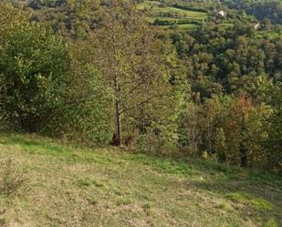 Non-constructible Land for sale in Caso