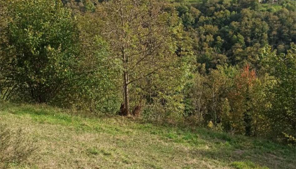 Foto 1 de No Urbanizable en venta en Caso, Asturias