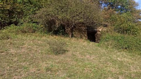 Foto 4 de No Urbanizable en venta en Caso, Asturias