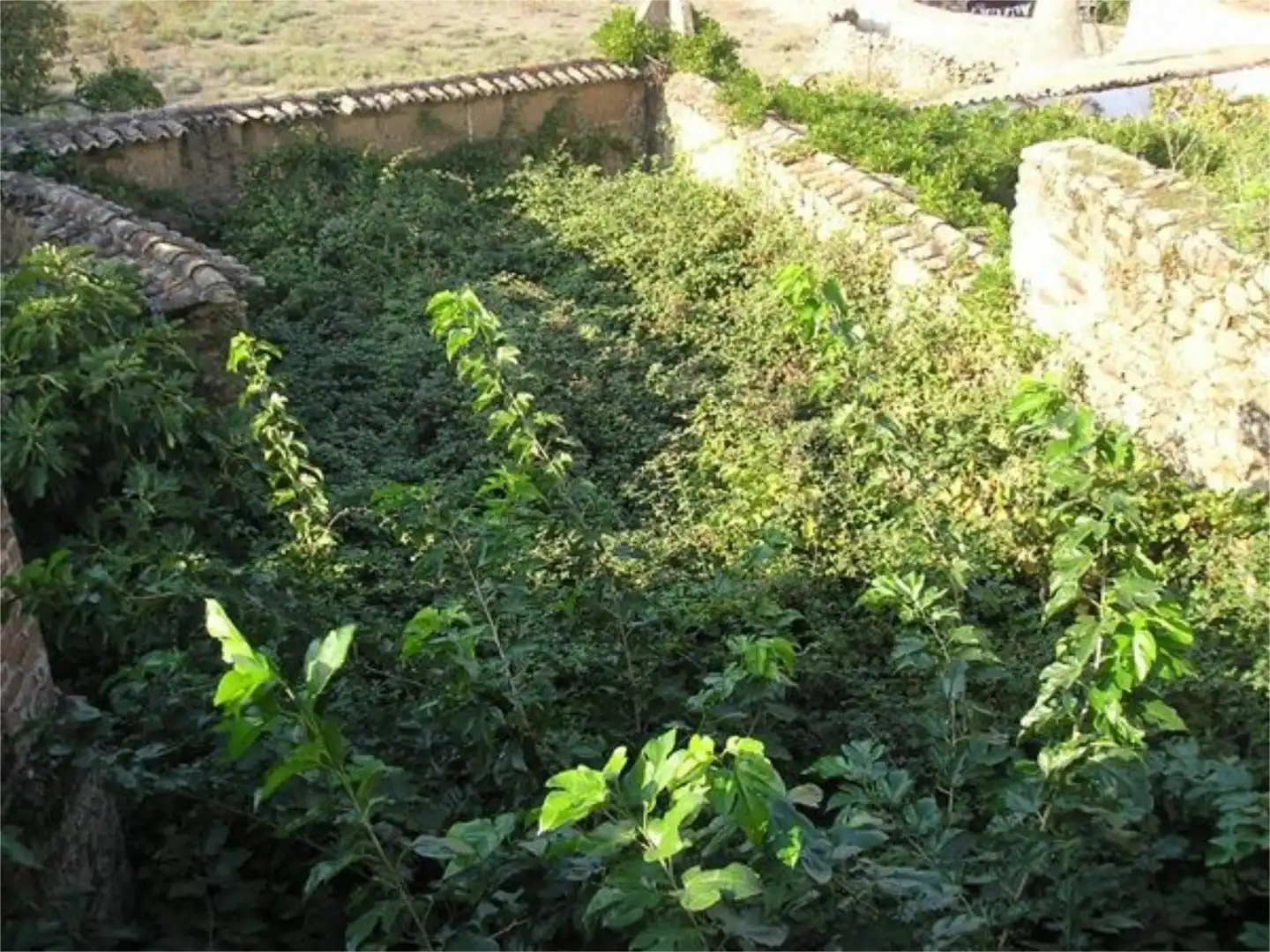Jardí de Casa adosada en venda en Salvatierra de Santiago