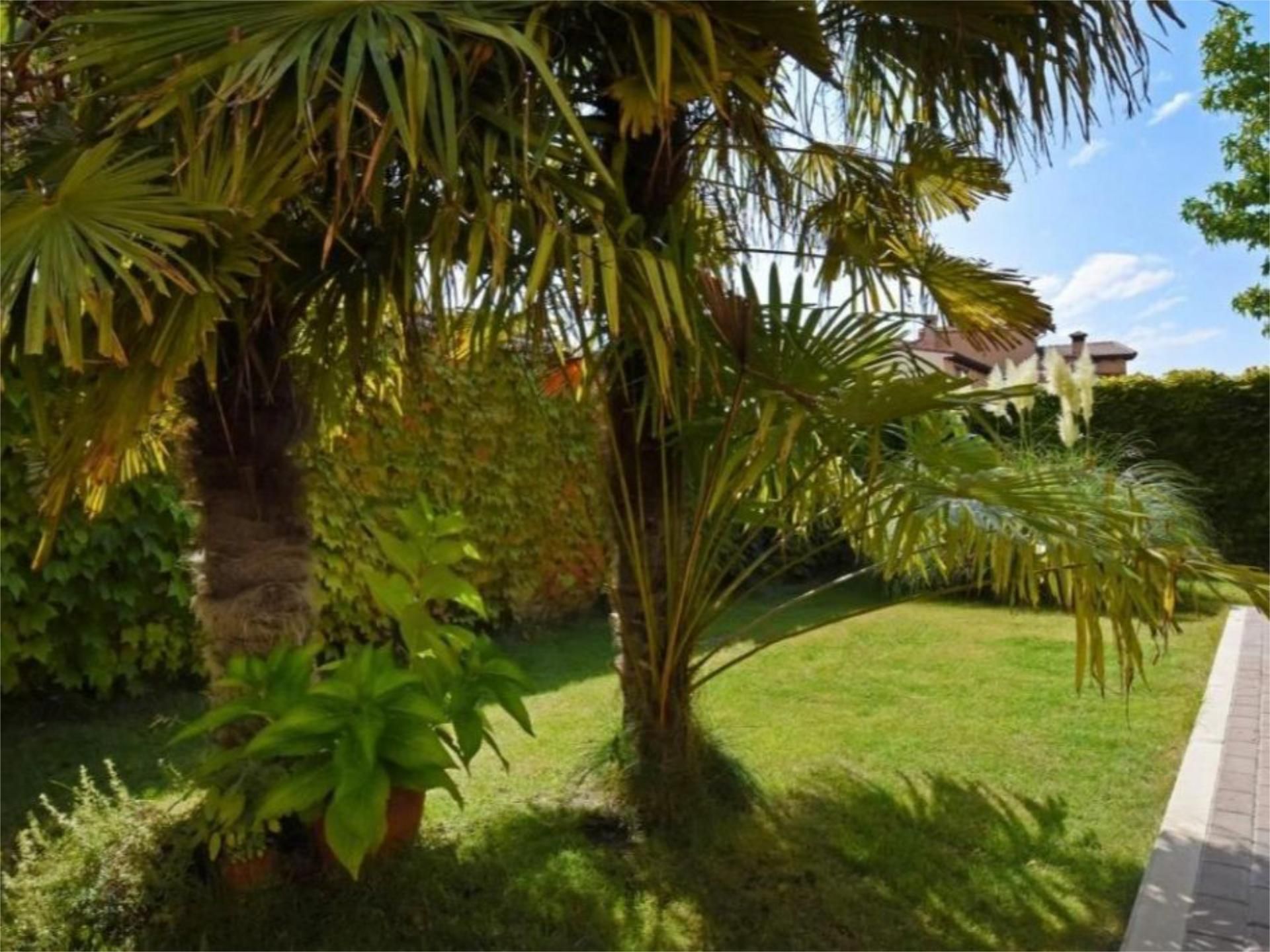 Garden of House or chalet for sale in Nava de la Asunción  with Terrace and Balcony