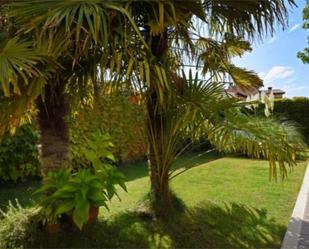 Garden of House or chalet for sale in Nava de la Asunción  with Terrace and Balcony