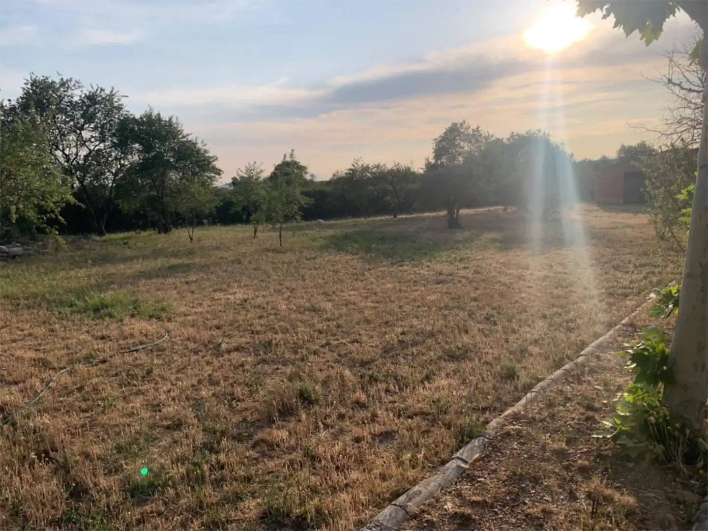 Finca rústica en venta en Lugar Campo Onecha, 39, Dueñas Finca rústica en venta en Dueñas