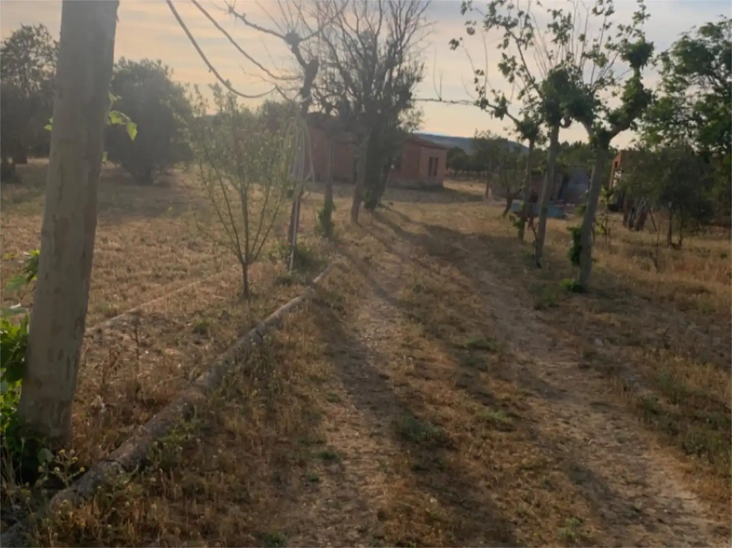 Finca rústica en venta en Lugar Campo Onecha, 39, Dueñas Finca rústica en venta en Dueñas
