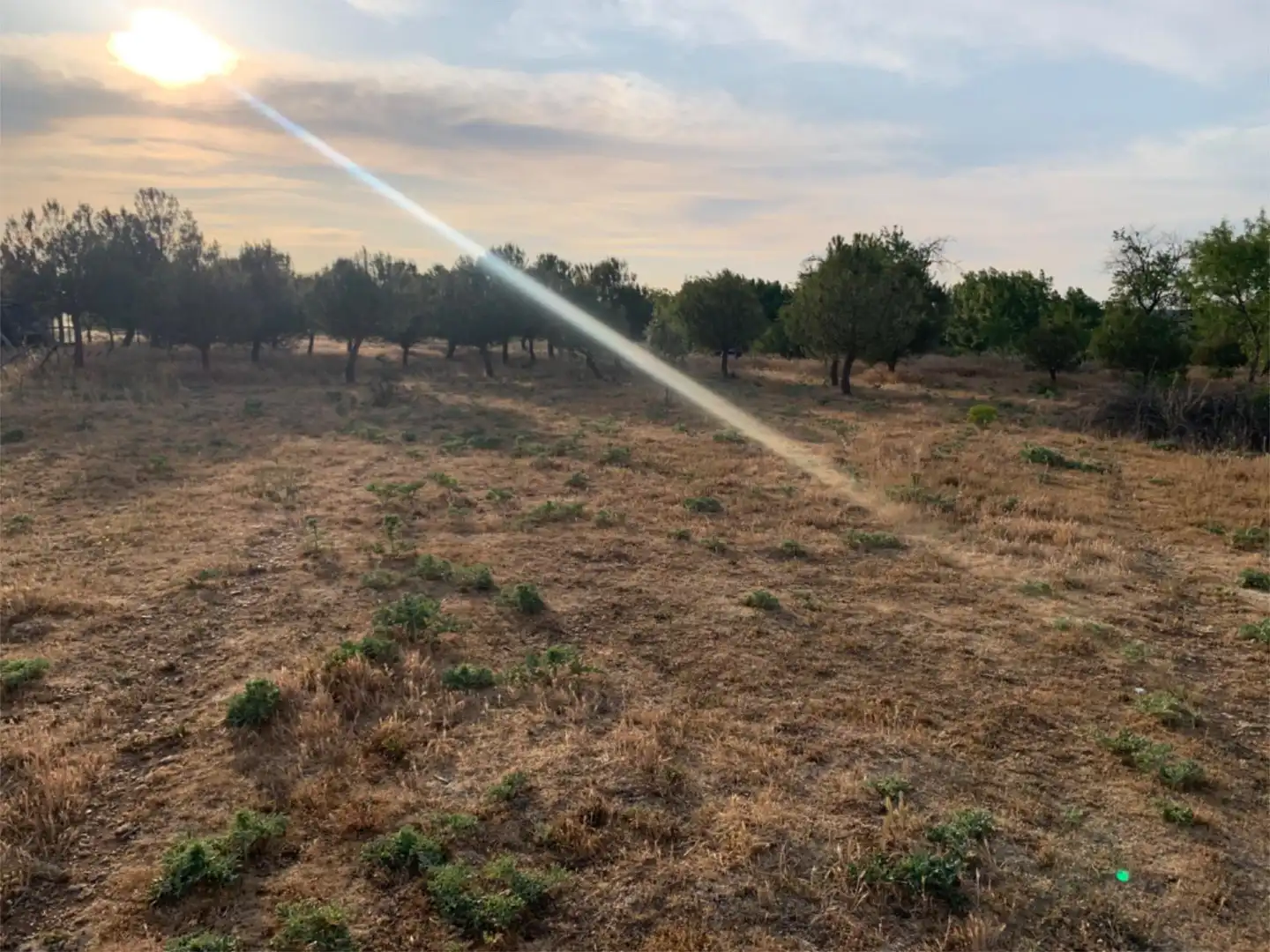 Finca rústica en venta en Lugar Campo Onecha, 39, Dueñas Finca rústica en venta en Dueñas