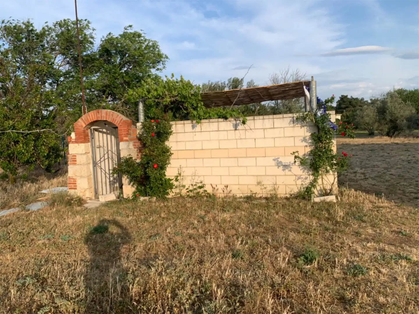 Finca rústica en venta en Lugar Campo Onecha, 39, Dueñas Finca rústica en venta en Dueñas