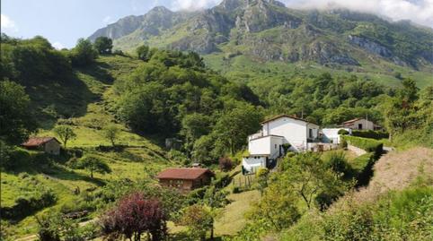 Photo 2 of Planta baja for sale in Mo-1, 20, Morcín, Asturias