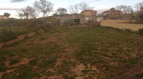 Terreno en venta en Avenida de Extremadura, 100, Almaraz, Cáceres - imagen 5 Foto 5 de Terreno en venta en Avenida de Extremadura, 100, Almaraz, Cáceres