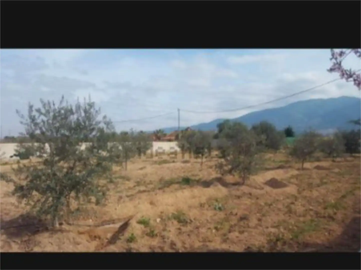 Non-constructible Land for sale in Librilla Non-constructible Land for sale in Librilla