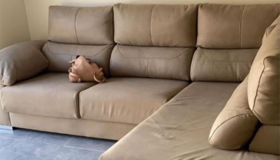 Photo 1 of Flat to rent in Street Calle Jaeń, 1, Vélez-Rubio, Almería