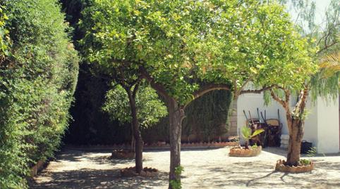 Photo 3 of House or chalet to rent in Calle Romero, 18, La Paz, Sevilla