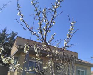 Jardí de Casa o xalet en venda en Carrascal del Obispo amb Terrassa