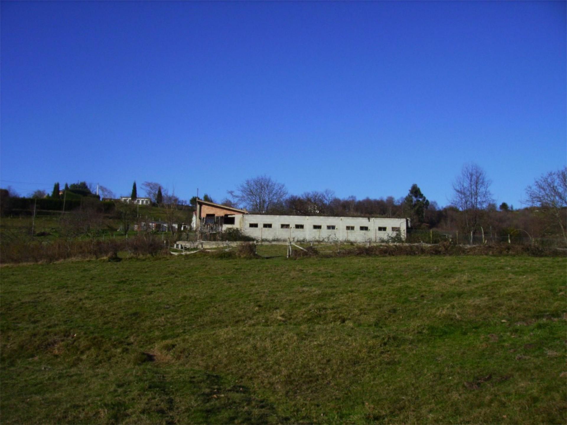 Exterior view of Non-constructible Land for sale in Langreo