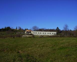 Exterior view of Country house for sale in Langreo