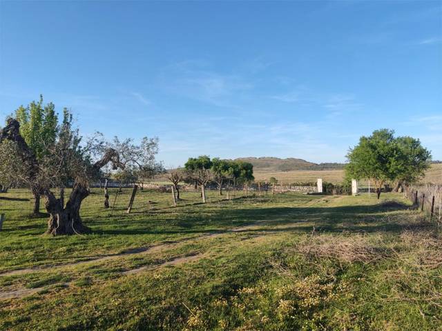 Terreno en venta en  de alconera, terrenos alconer