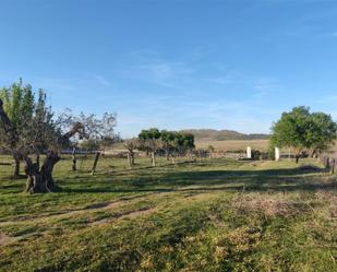 Grundstücke zum verkauf in Alconera