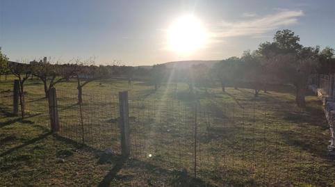 Foto 2 de Terreno en venta en Alconera, Badajoz