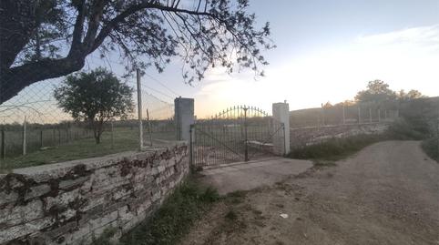 Foto 3 de Terreno en venta en Alconera, Badajoz