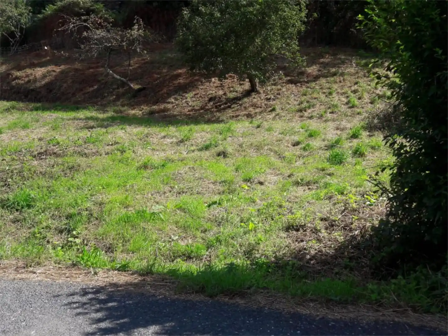Land for sale in Ortigueira