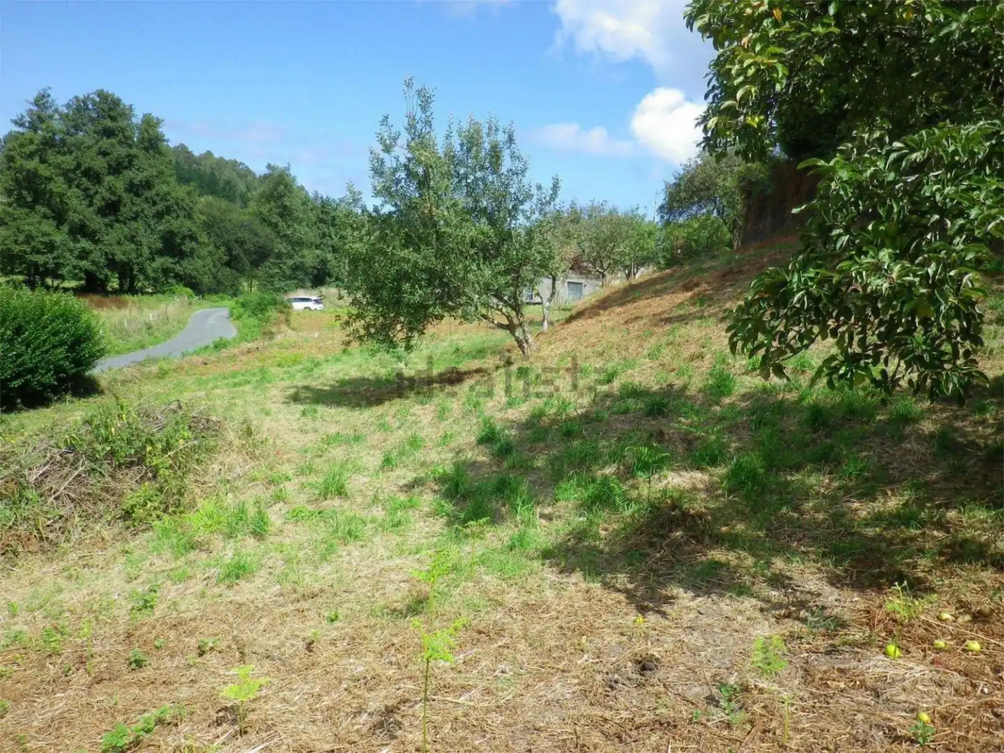 Land for sale in Ortigueira
