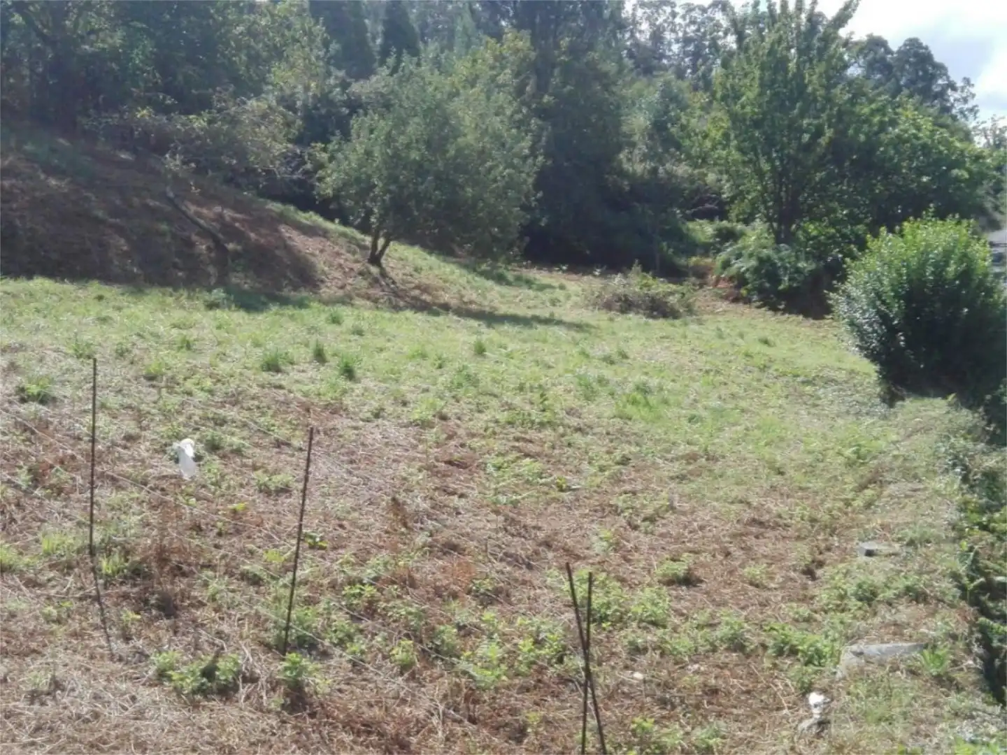 Land for sale in Ortigueira