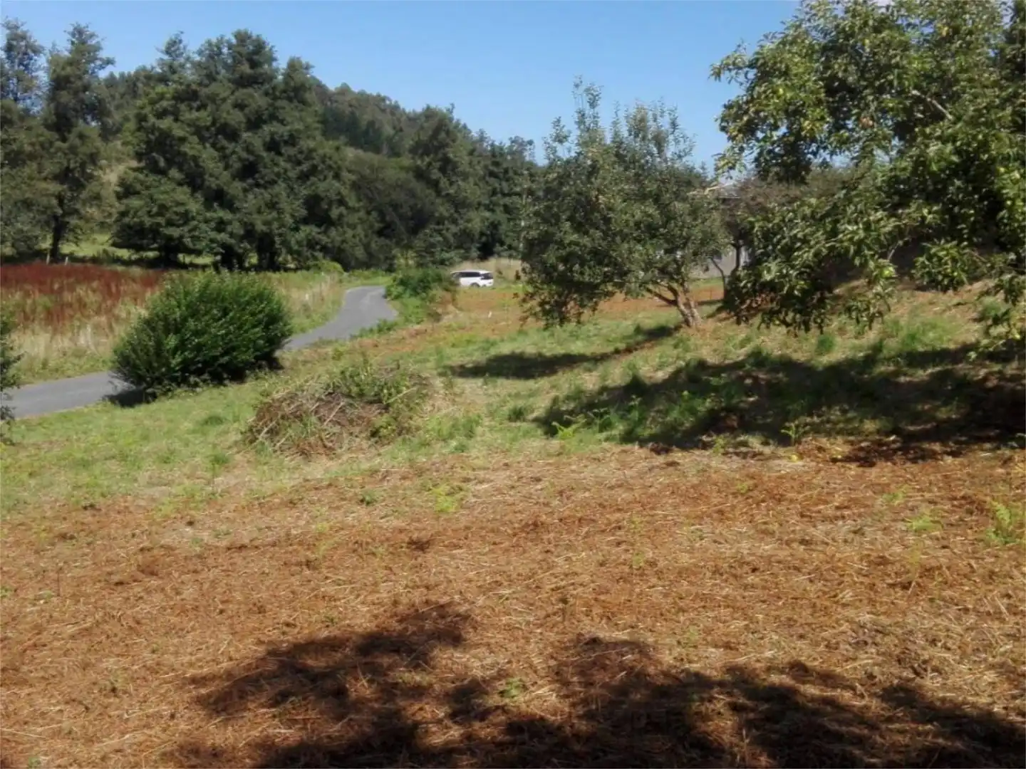 Land for sale in Ortigueira