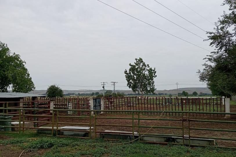 Finca rústica en venda a Las Aves, Madrid - imatge 1 Foto 1 de Finca rústica en venda a Las Aves, Madrid