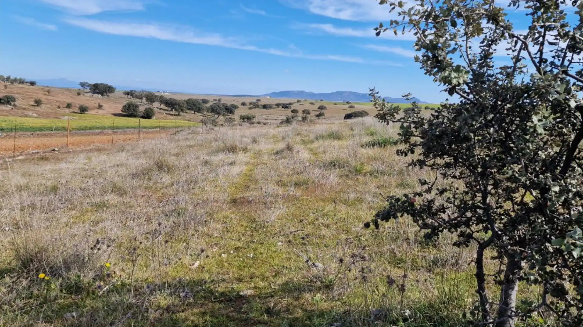 Terreno en venta en La Coronada