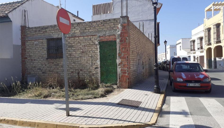 Constructible Land for sale in Calle Ronda Norte, 23, Torre de la Reina, Sevilla - image 1 Photo 1 of Constructible Land for sale in Calle Ronda Norte, 23, Torre de la Reina, Sevilla