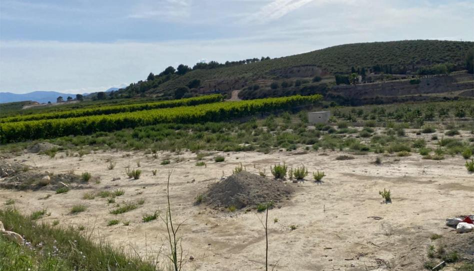 Photo 1 of Country house for sale in Calle Rambla Salada, 2, Cañada Hermosa, Murcia