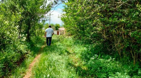 Photo 5 of Country homes for sale in Calle Real Mona, 1, Salinas de Pisuerga, Palencia