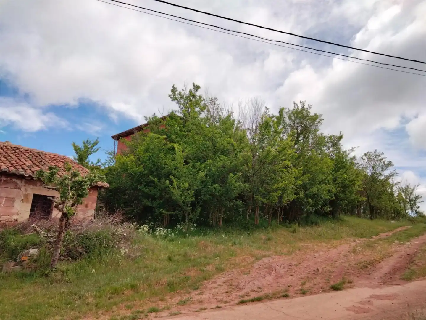 Finca rústica en venta en Calle Real Mona, 1, Salinas de Pisuerga Finca rústica en venta en Salinas de Pisuerga