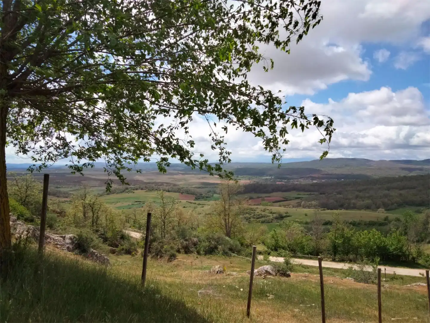 Finca rústica en venta en Calle Real Mona, 1, Salinas de Pisuerga Finca rústica en venta en Salinas de Pisuerga