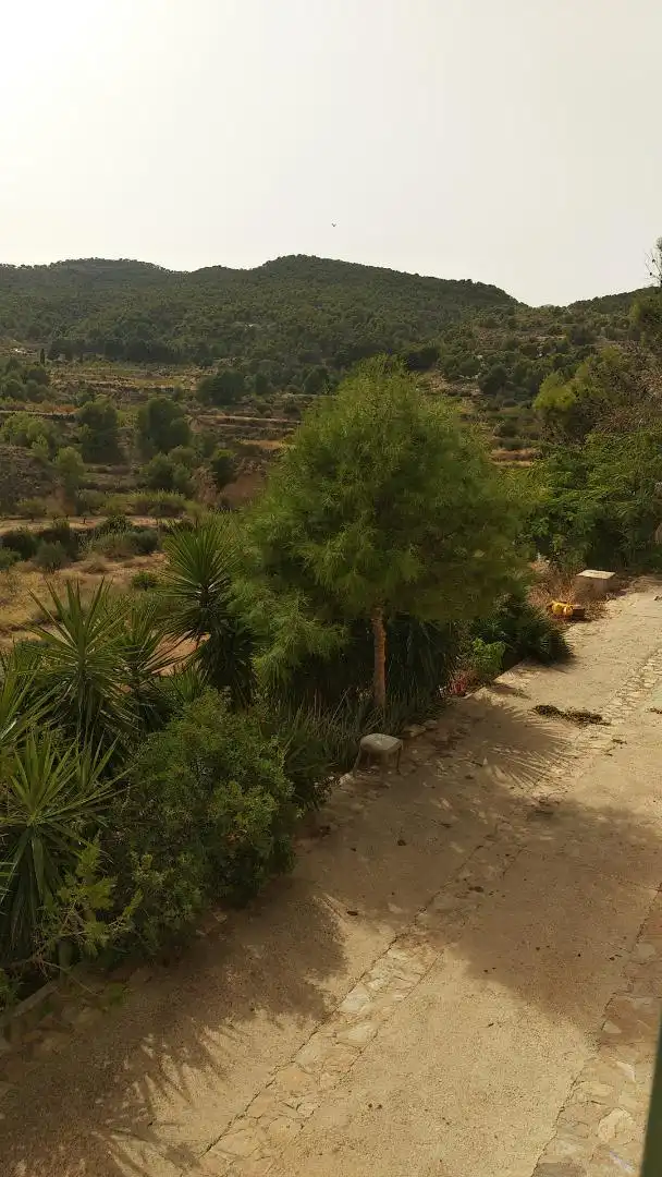 Casa o xalet de lloguer a Diseminado Flotas Calceta, 4, Alhama de Murcia ciudad