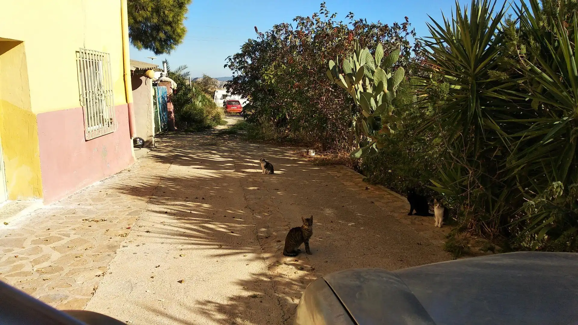 Casa o xalet de lloguer a Diseminado Flotas Calceta, 4, Alhama de Murcia ciudad