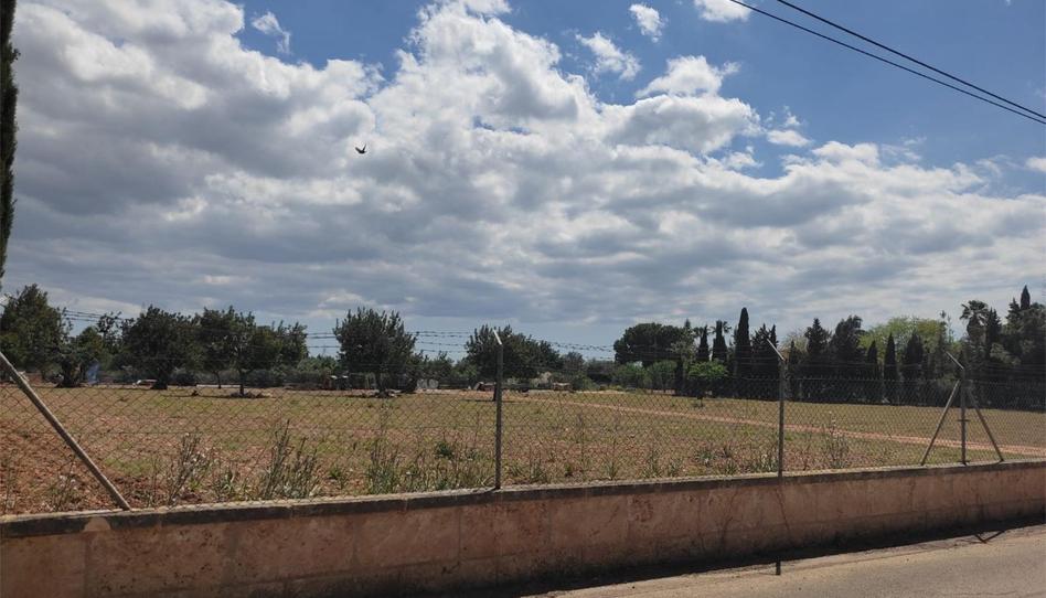 Photo 1 of Land for sale in Avinguda de Gabriel Alomar, 168, El Sindicat, Illes Balears