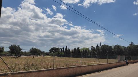 Photo 3 of Land for sale in Avinguda de Gabriel Alomar, 168, El Sindicat, Illes Balears