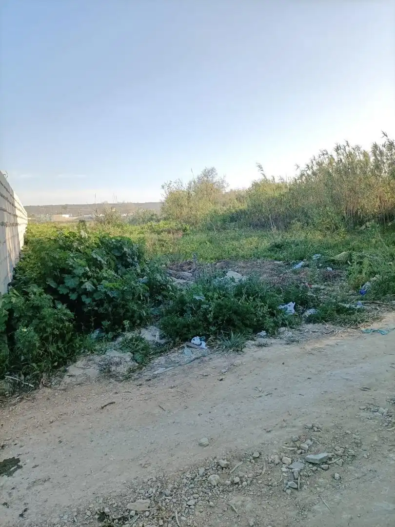 Finca rústica en venda en Barbate