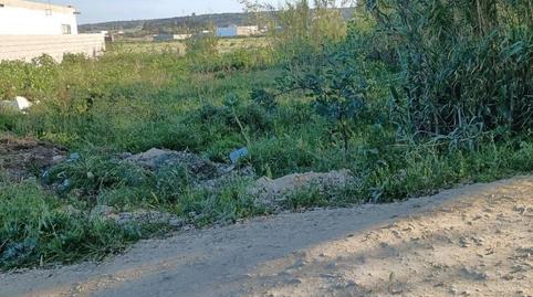 Photo 2 of Country house for sale in Barbate ciudad, Cádiz