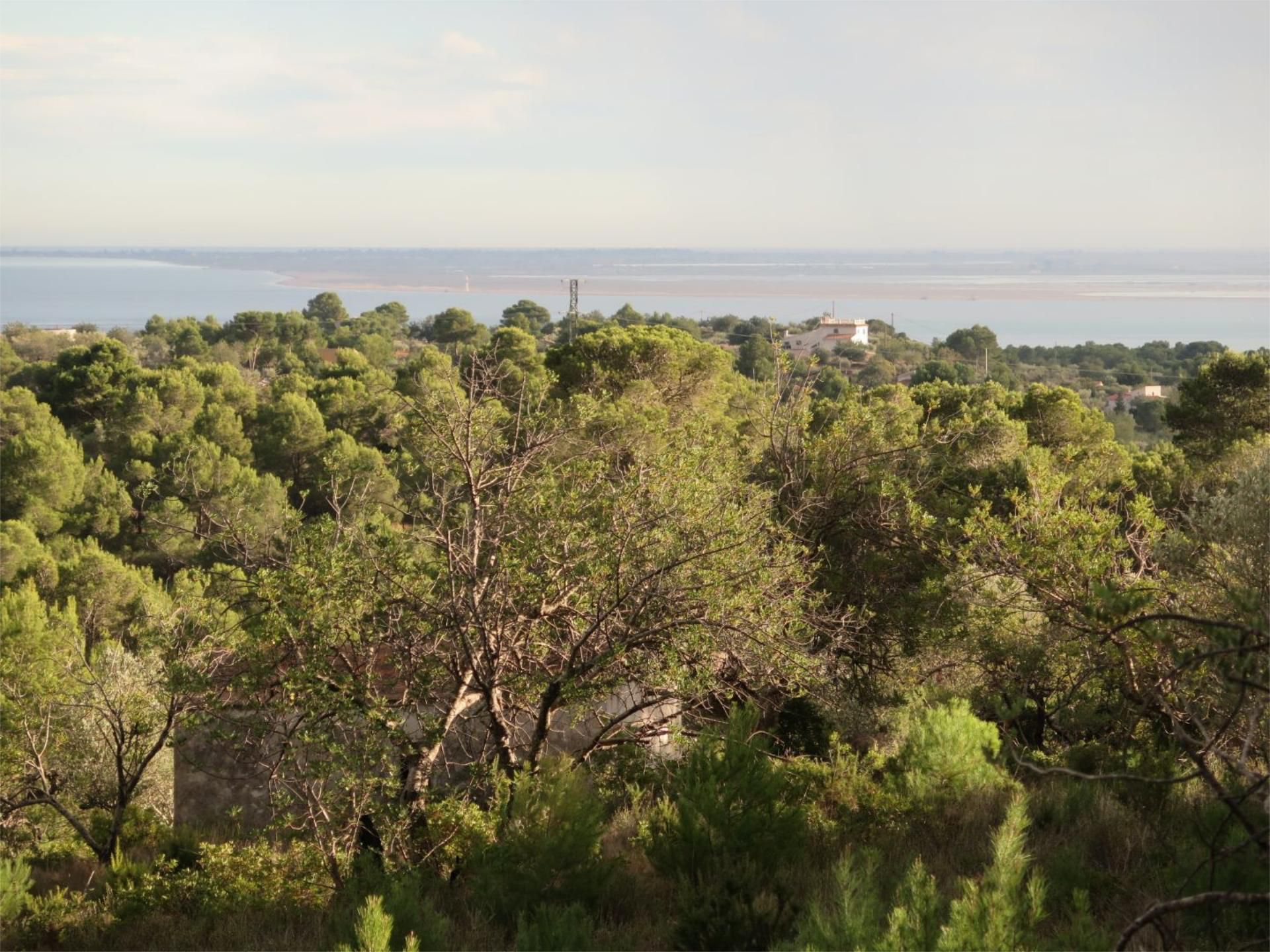 No Urbanitzable en venda en El Perelló