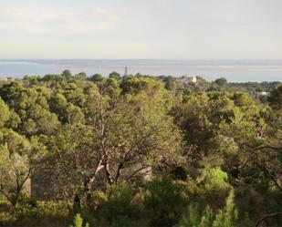 Non-constructible Land for sale in El Perelló