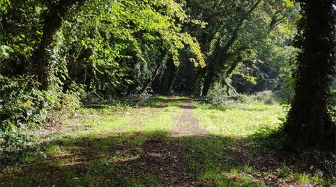 Foto 4 de Finca rústica en venda a Carrer Lugar Granda - Bazar, 1, Castro de Rei, Lugo