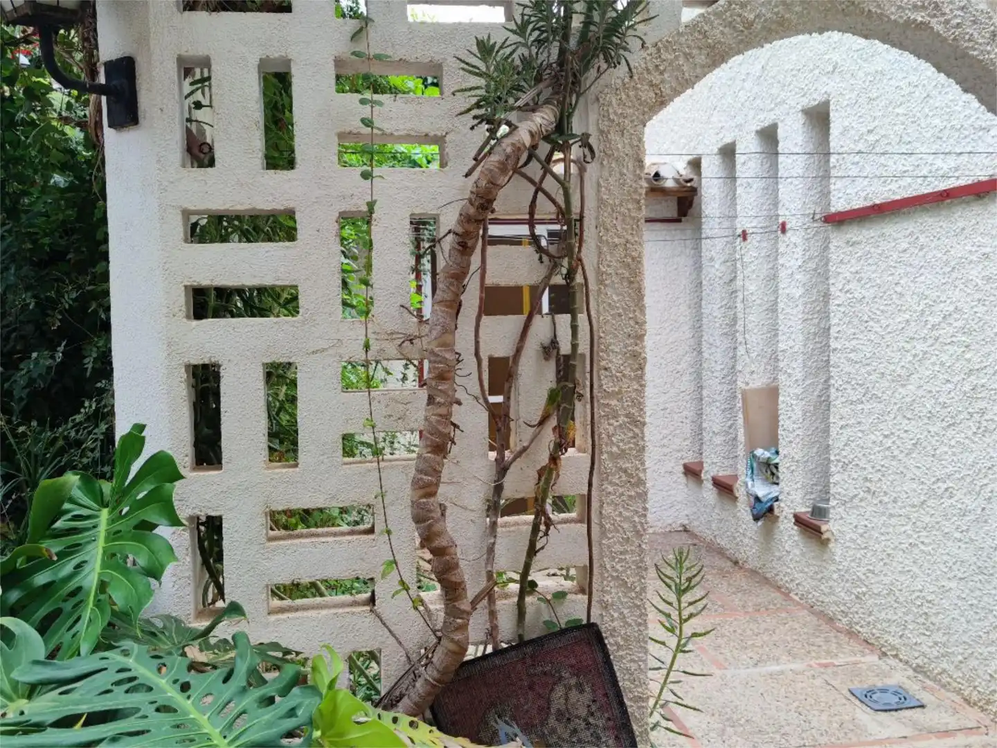 Casa o xalet en venda a Calle Canalejas, 25, Mazarrón Casco Urbano Jardí de Casa o xalet en venda en Mazarrón amb Terrassa i Balcó