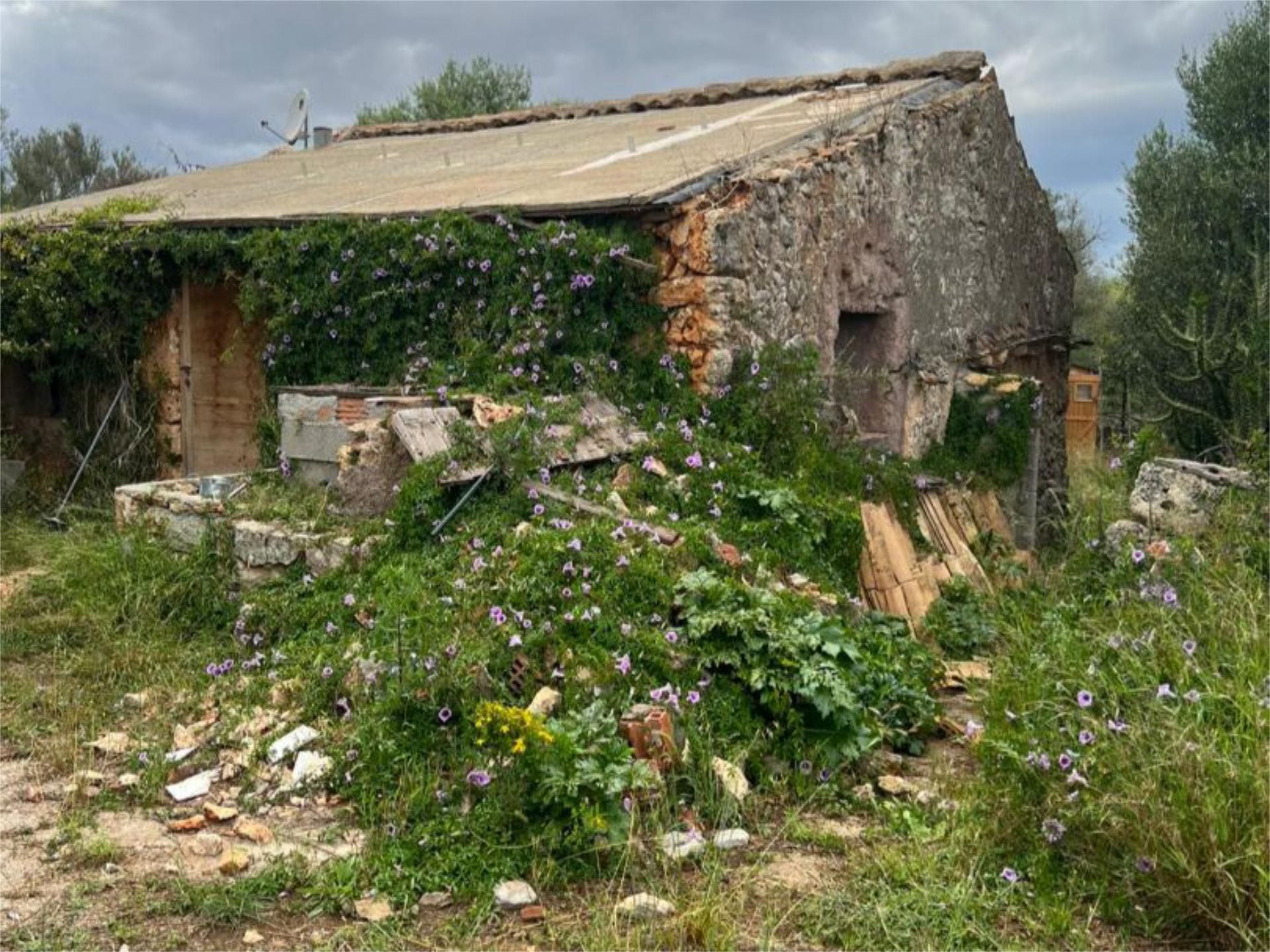 Jardí de Pis en venda en Costitx