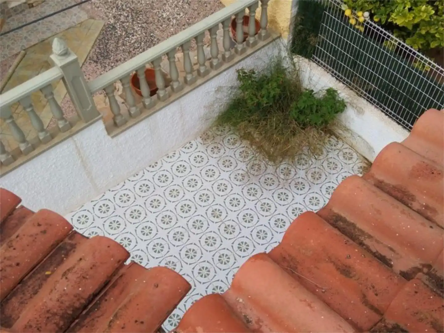 Jardín de Casa o chalet en venta en Rojales con Jardín privado y Terraza