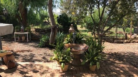 Flat for sale in Calle Almeria, 45, Aznalcázar, Sevilla - image 4 Photo 4 of Flat for sale in Calle Almeria, 45, Aznalcázar, Sevilla