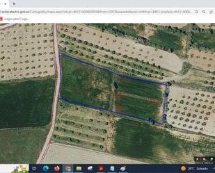 Land for sale in Fuenterrobles