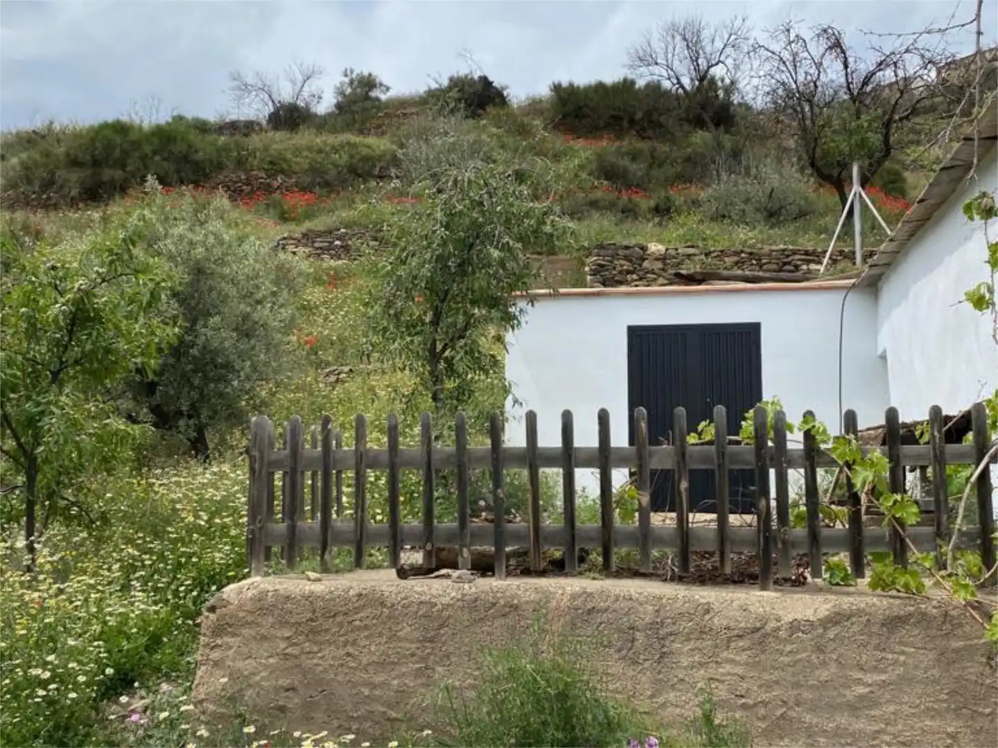 Jardí de Finca rústica en venda en Abla